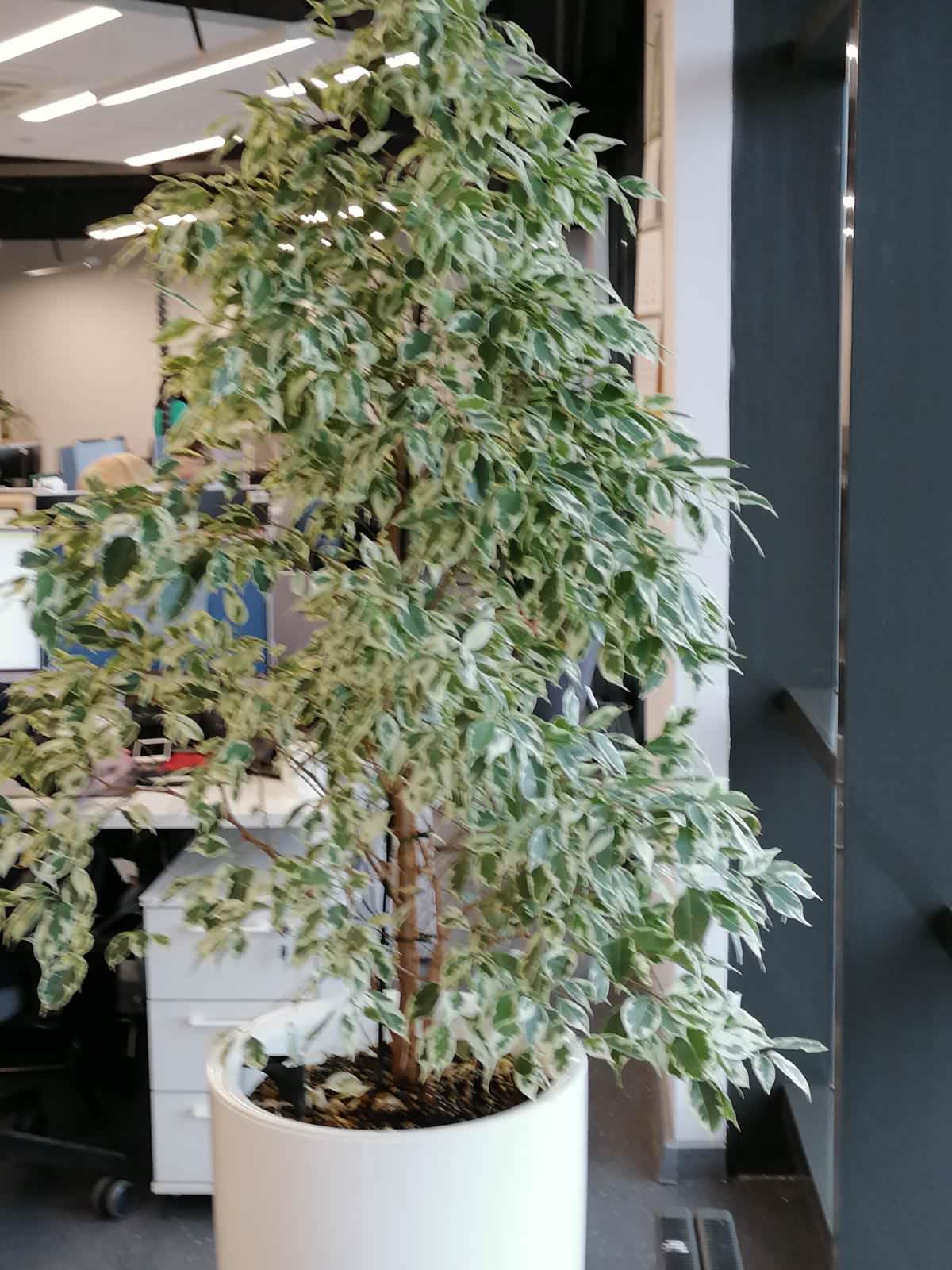 Unnamed Photo
