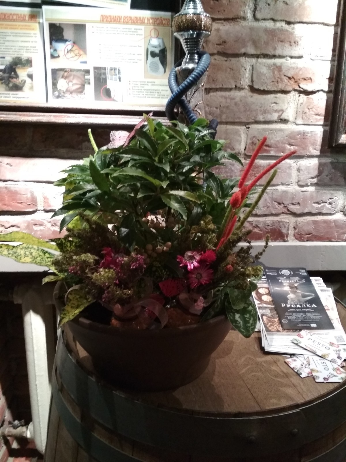 Обложка проекта: фитодизайн