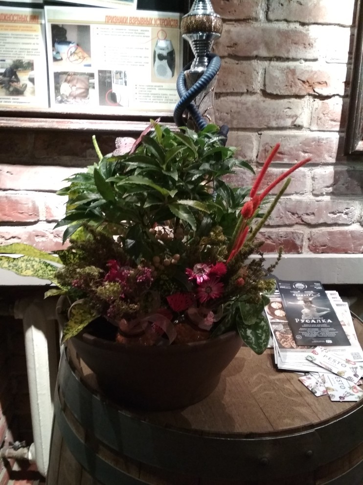 Обложка проекта: фитодизайн