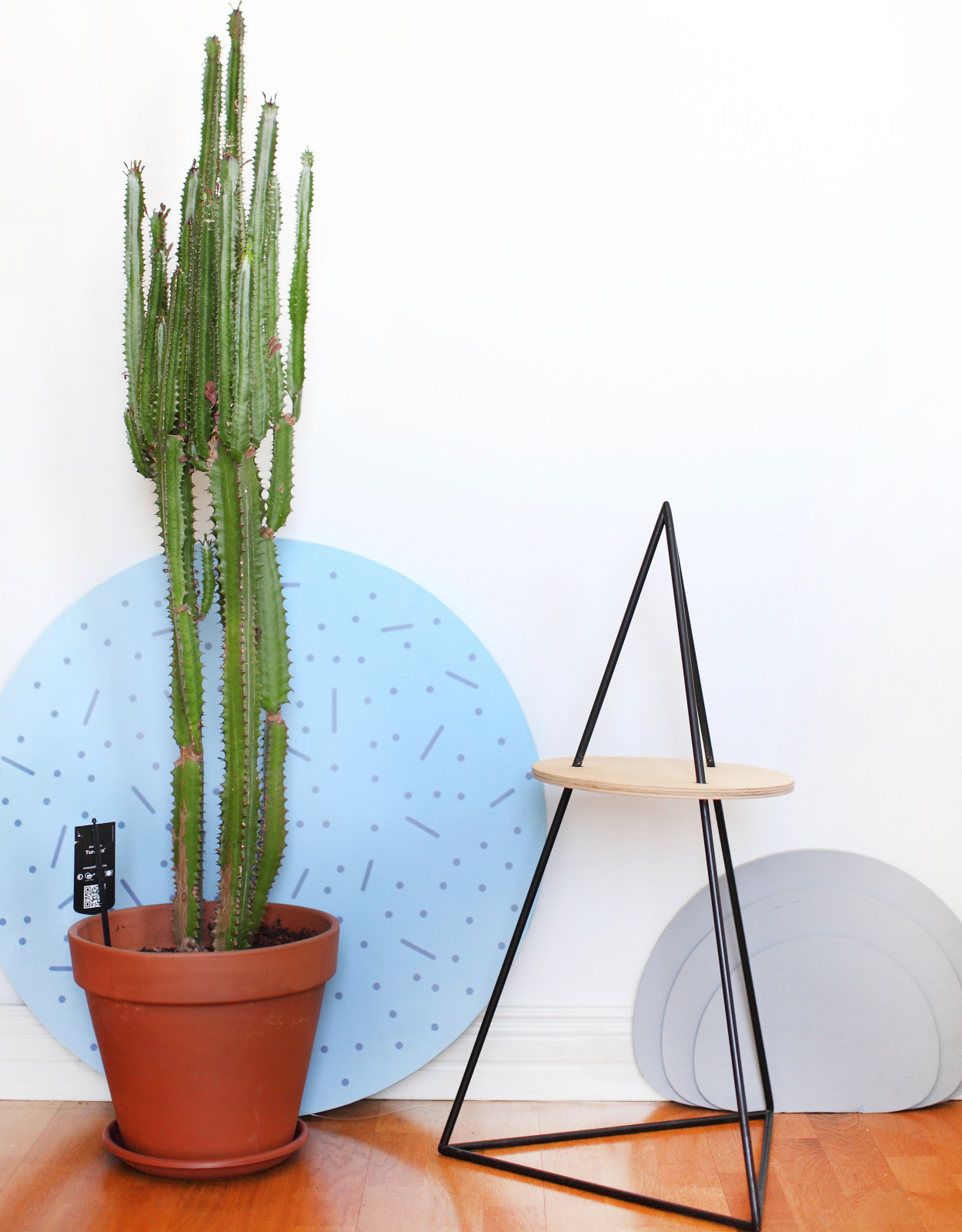 Портрет: Студия Facultative Works