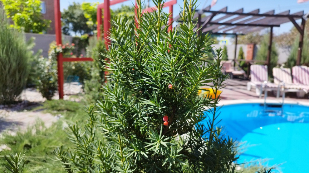 Зона отдыха в частном саду