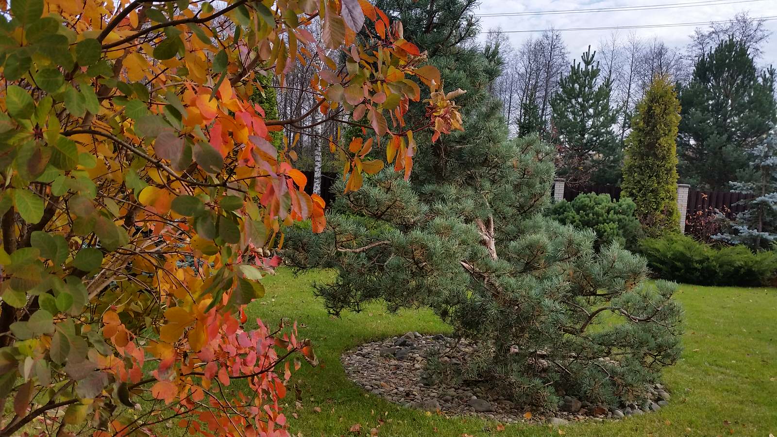 Ландшафтный проект 5