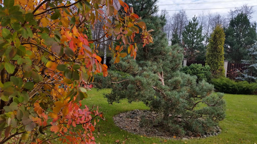 Ландшафтный проект 5