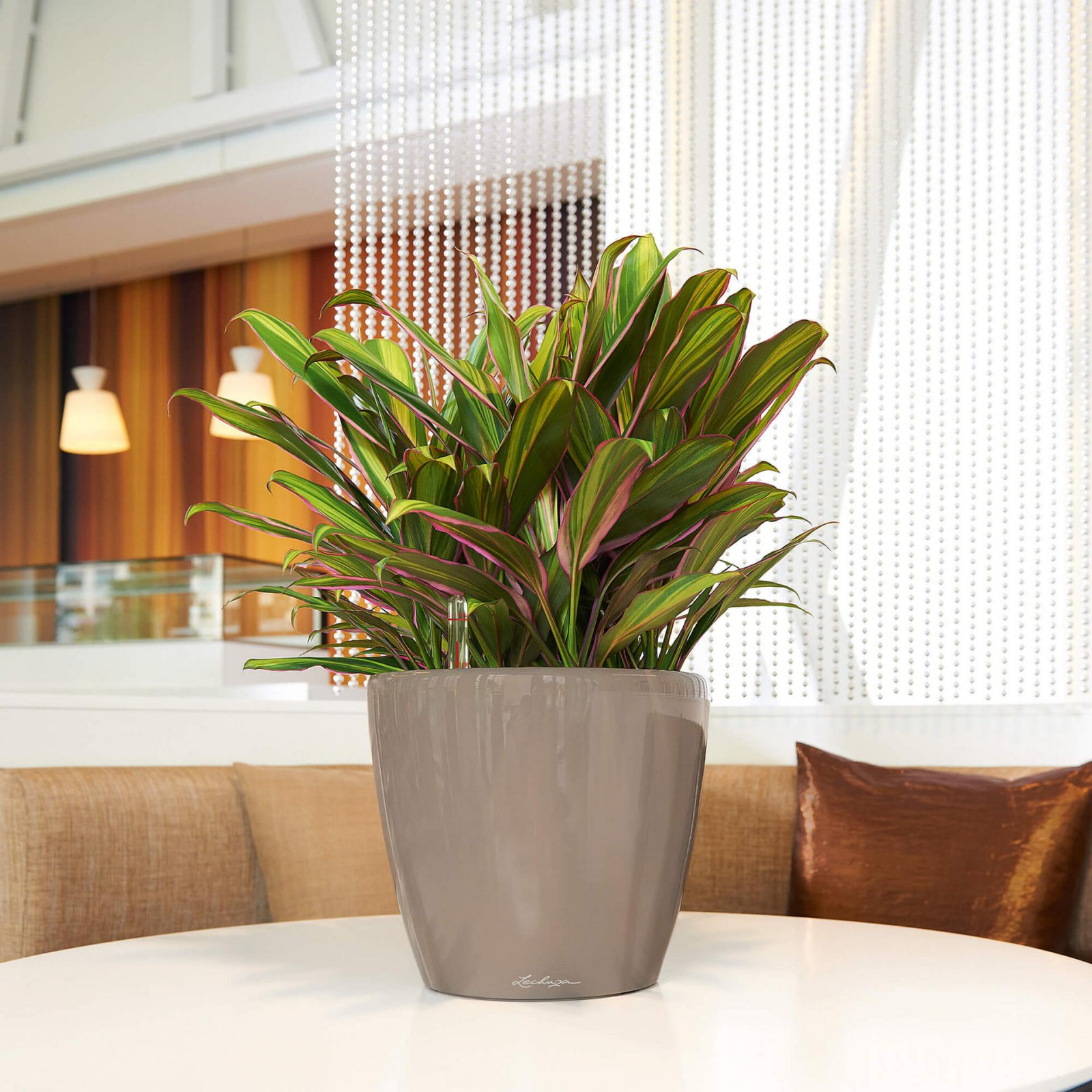 Неподвласные времени