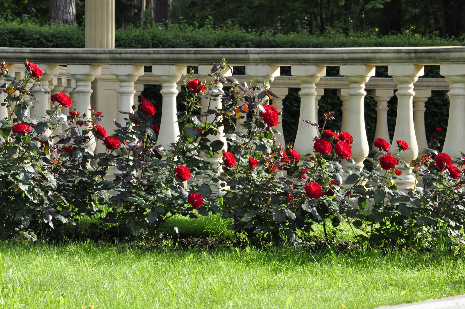 кп "Романово" - Уход за садом - 100% качество