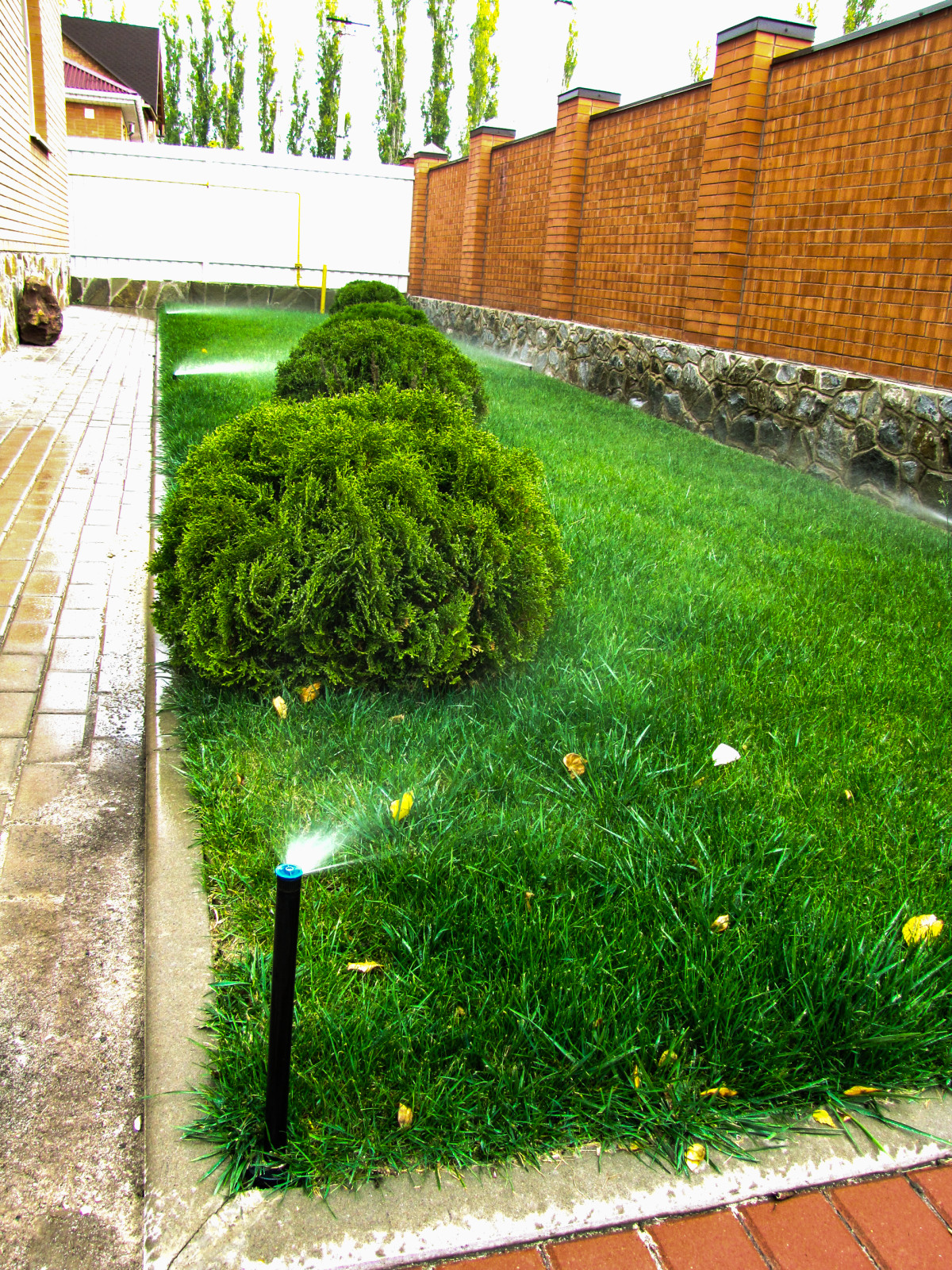 Обложка проекта: Дом в Сестрорецке