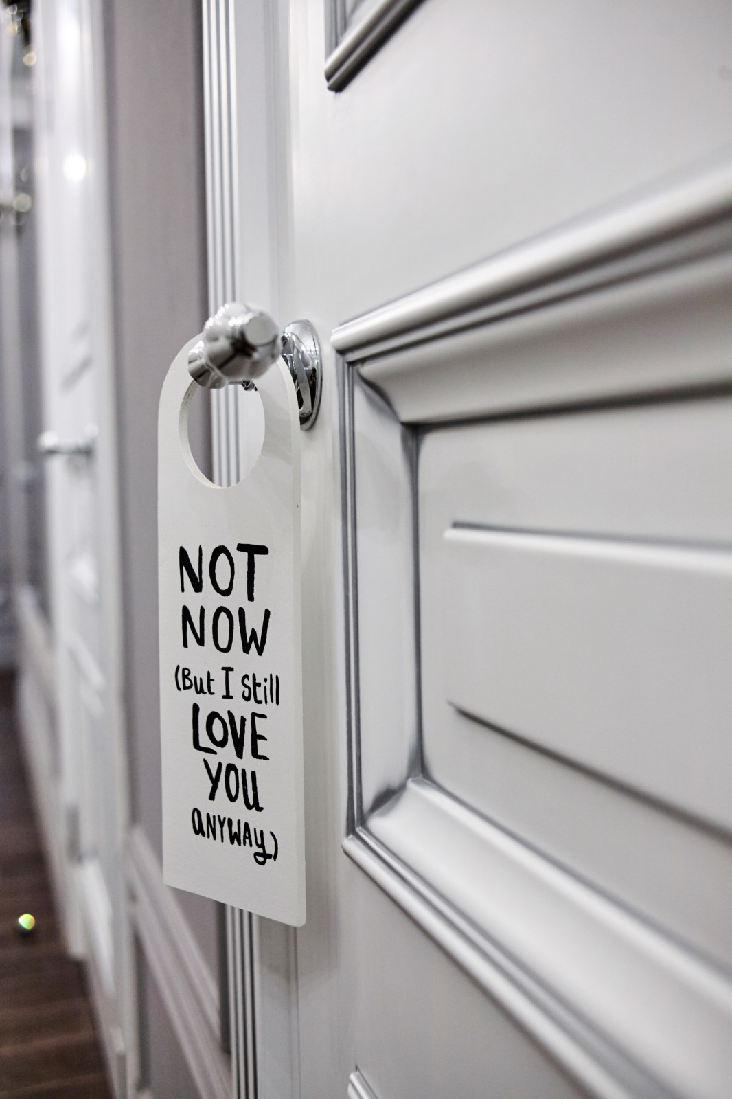 Обложка проекта: Дом на Петроградской,Съезжинская