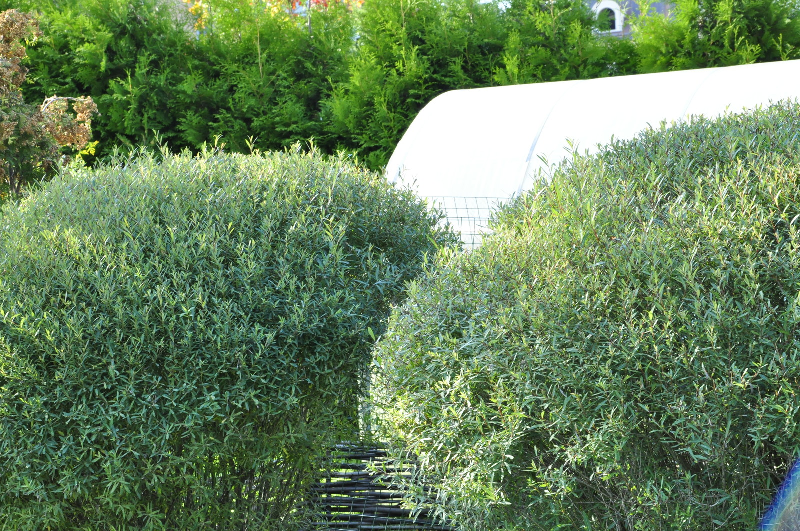 кп "Бенелюкс" - Уход за садом - 100% качество