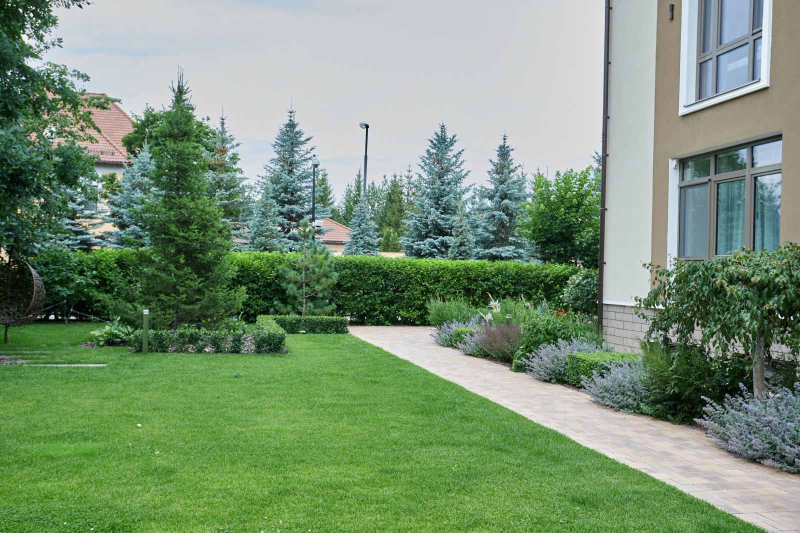 Чистые линии