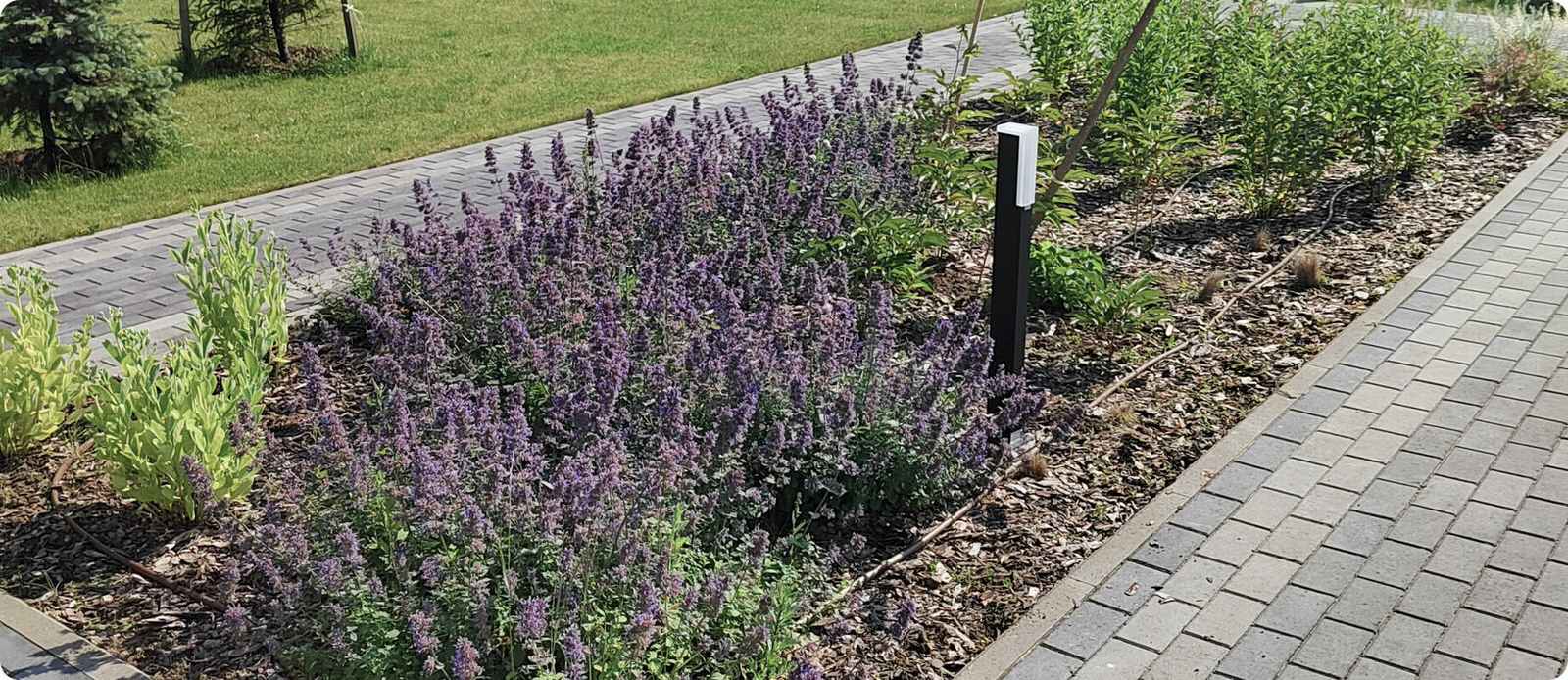 Обложка проекта: КП Сувантоярви