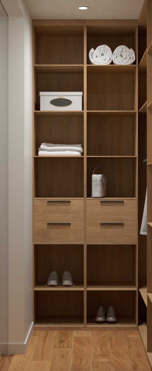 Проект квартиры в Москве, джапанди