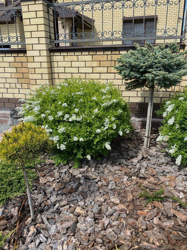 Обложка проекта: Живописная усадьба