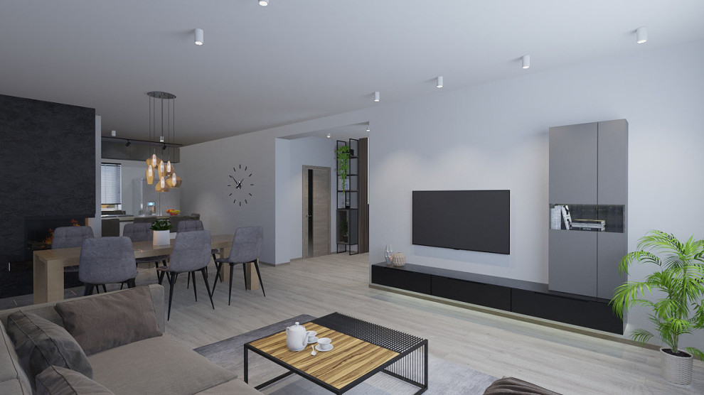 Проект Ozolnieki