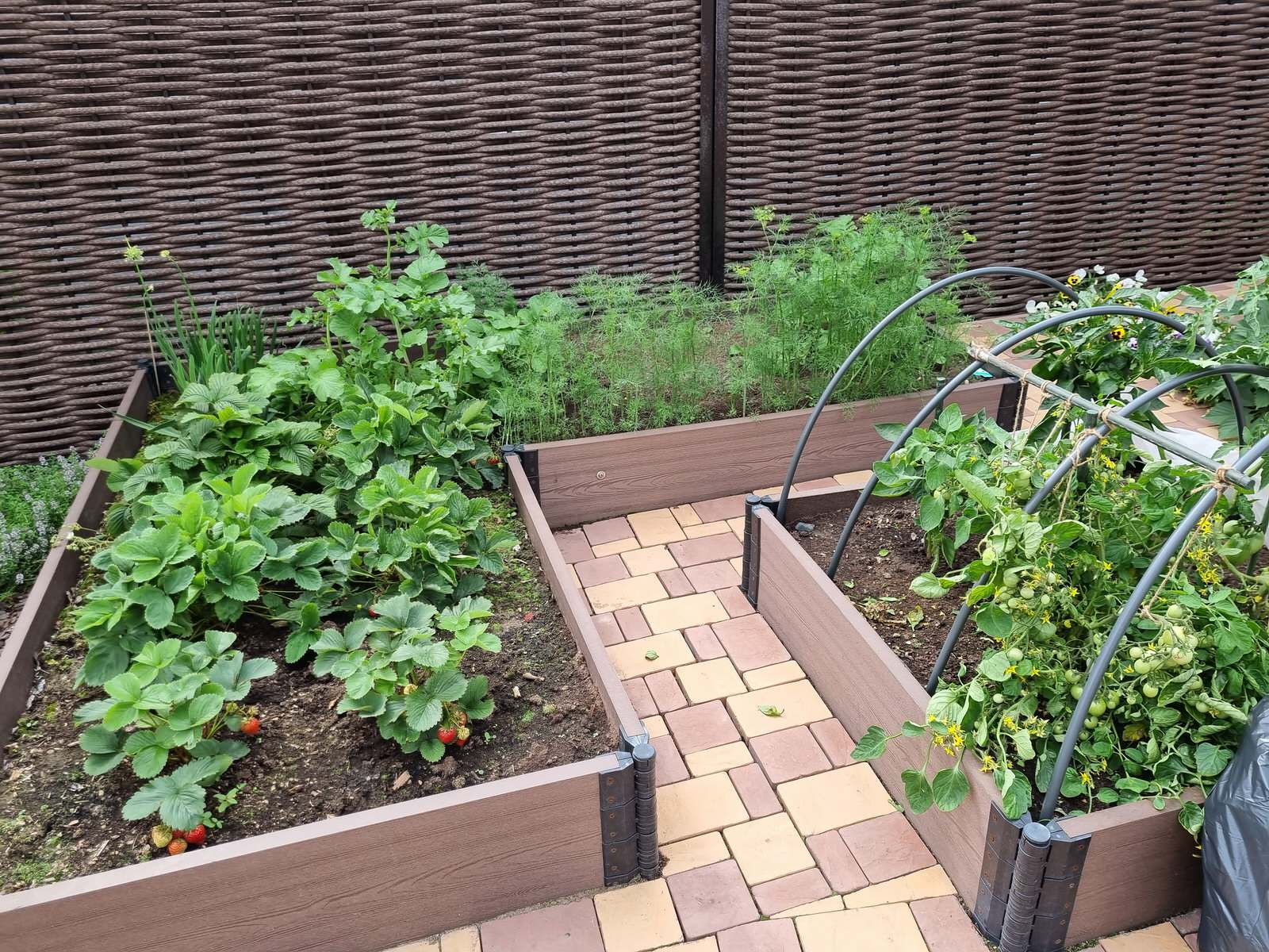 Серебрянный бор - 3