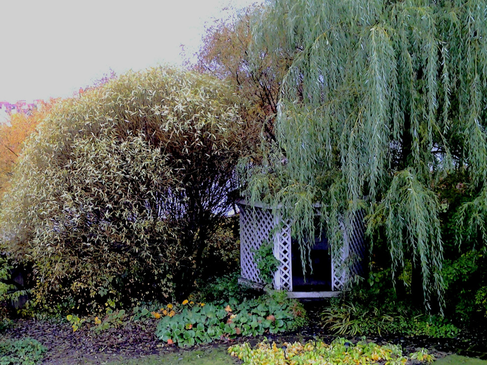 Фотографии моих работ