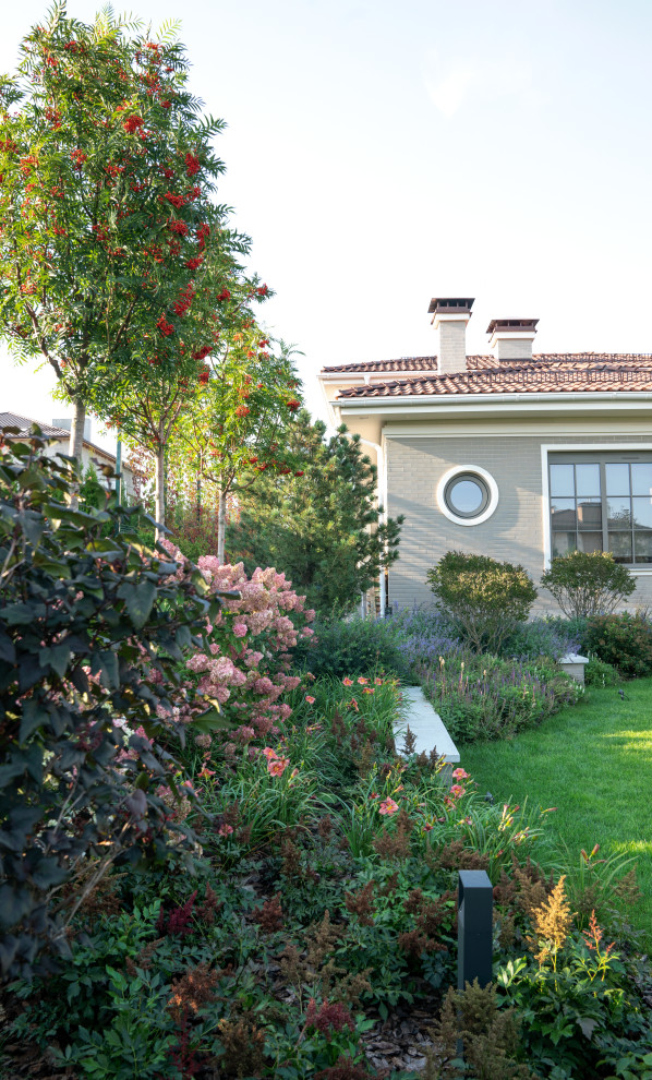 В закладки: Быстрорастущие деревья и кустарники