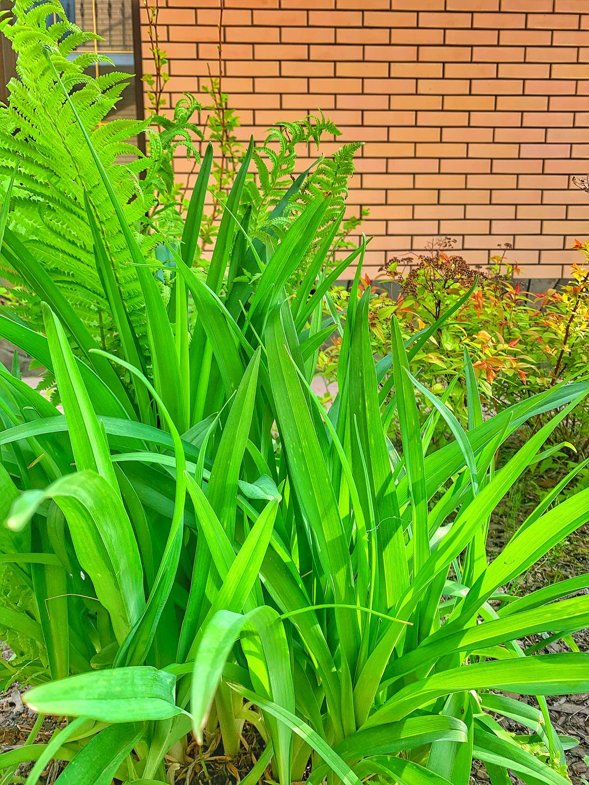 Ландшафтный дизайн в п. Молодёжный (Иркутск)