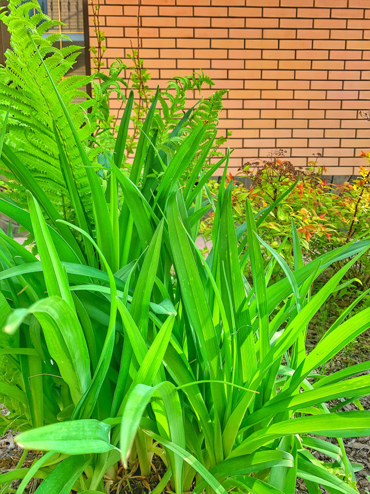 Ландшафтный дизайн в п. Молодёжный (Иркутск)