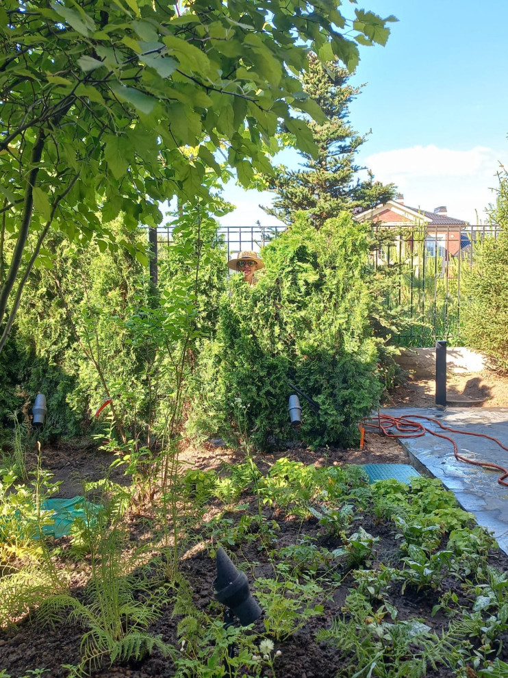 Landscape design of the territory (Moscow region)