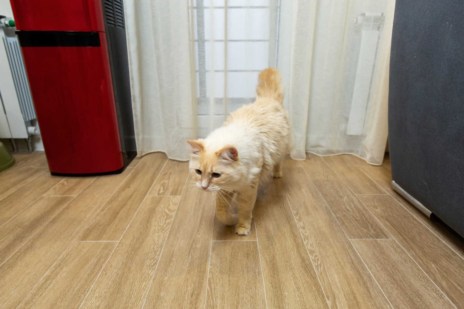 Дизайнерский ремонт в ЖК "Пять звезд", кухня-гостиная, Воронеж