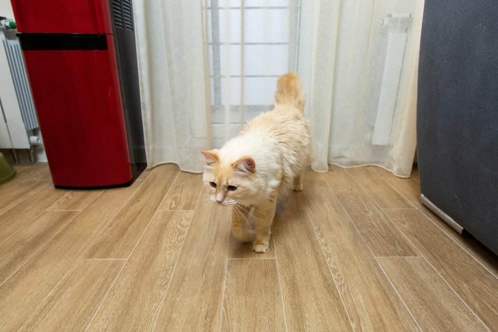 Дизайнерский ремонт в ЖК "Пять звезд", кухня-гостиная, Воронеж