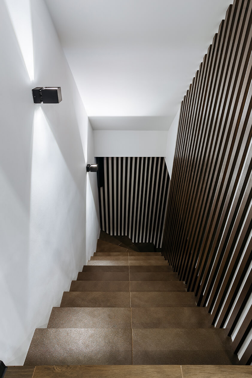 Танухаус в современном стиле