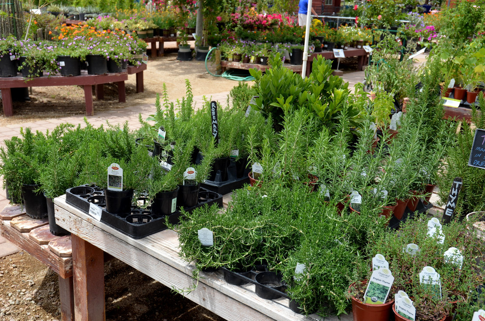 Вопрос: Как выбирать растения для сада