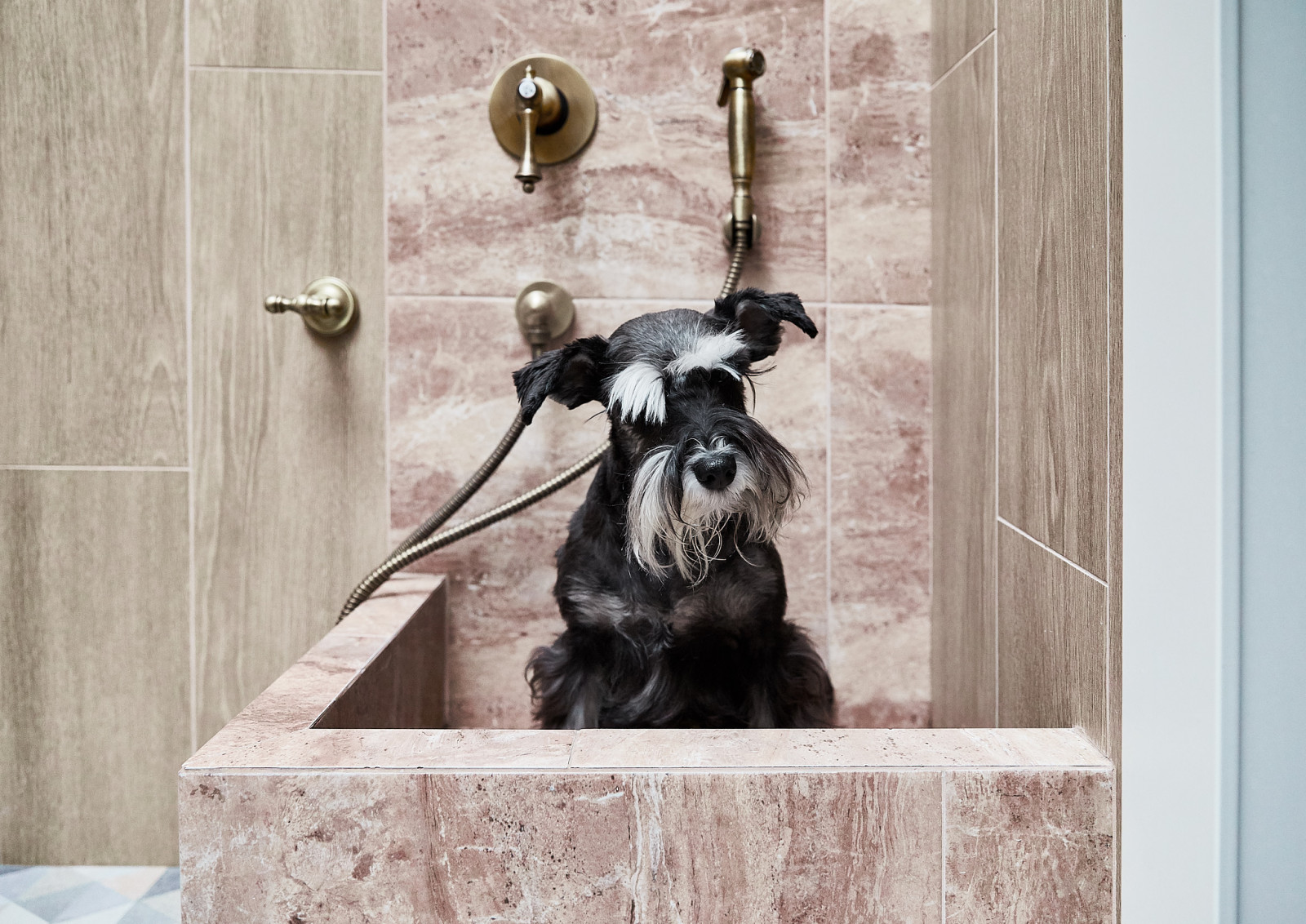 Многообразие эмоций