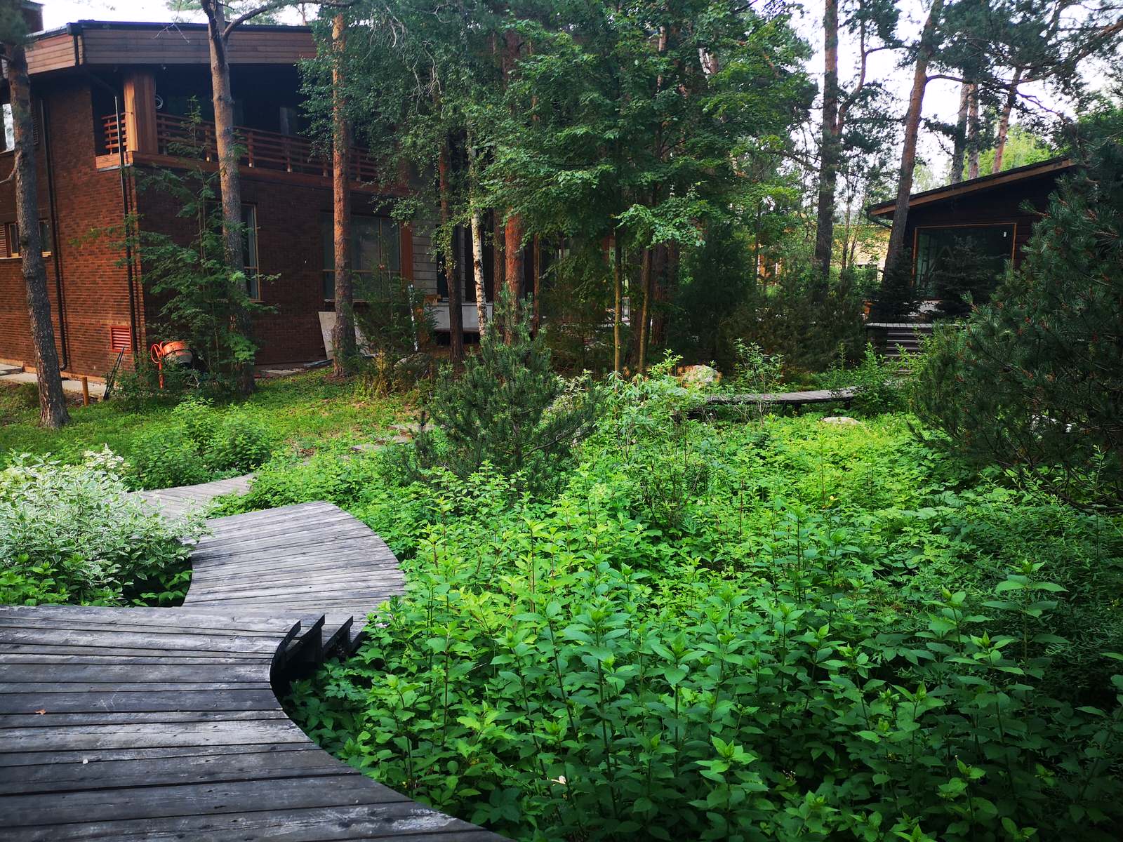 Обложка проекта: Лесной участок