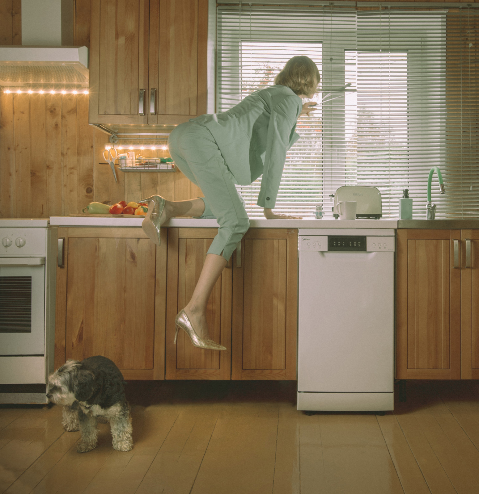 Обложка проекта: Pitbull