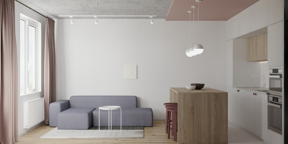 Д-1808. Квартира для проживания молодой девушки.