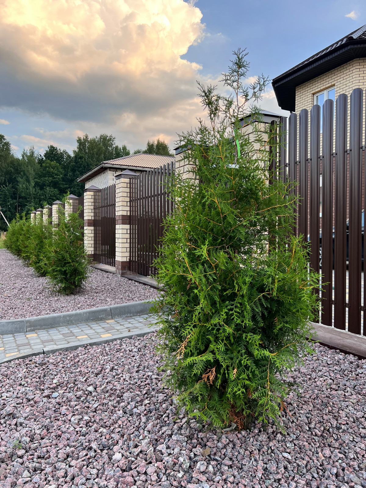 Ландшафтный дизайн территории частного владения в КП "Земляничная поляна"