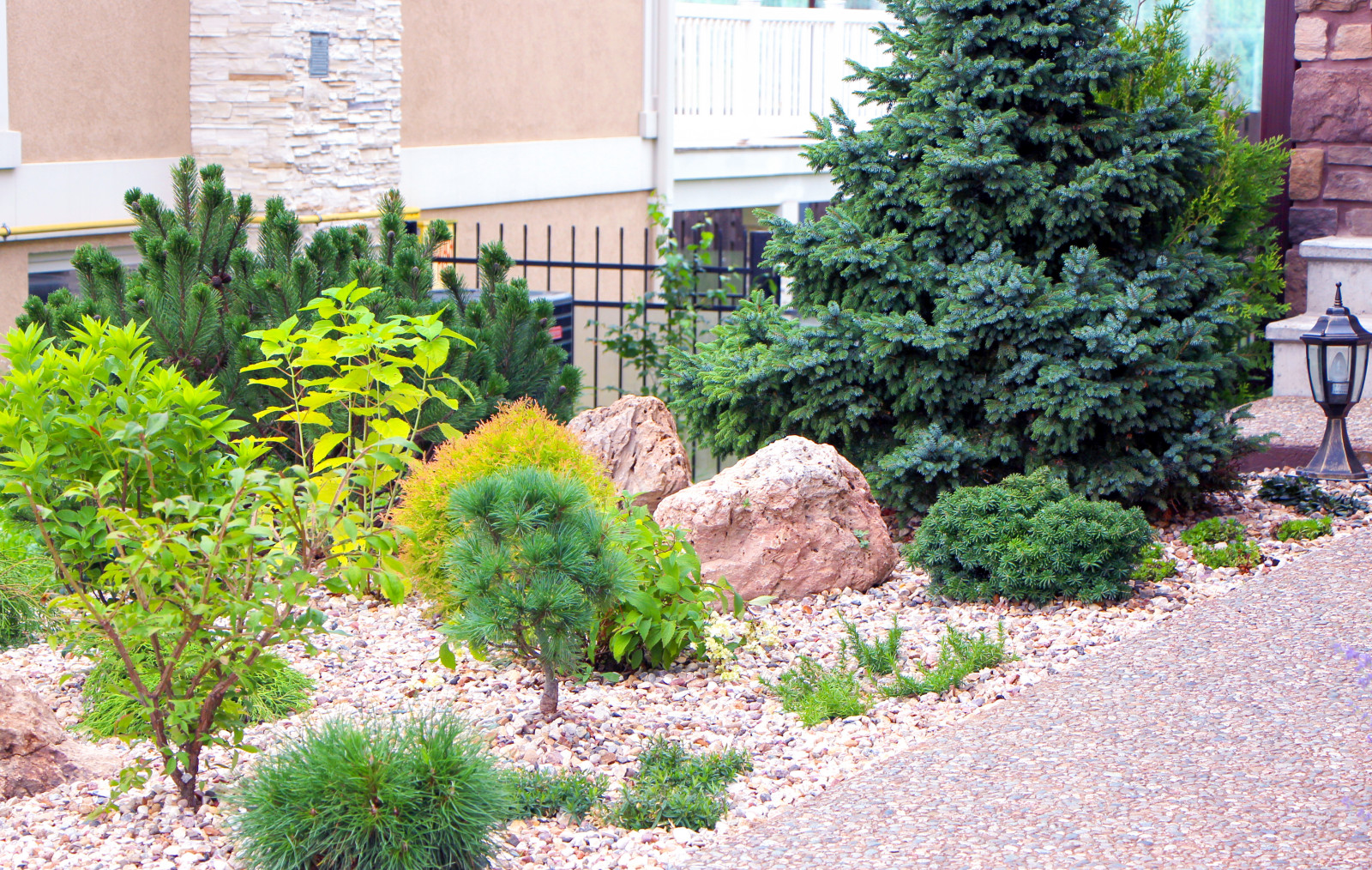 Новые Вешки, 2016