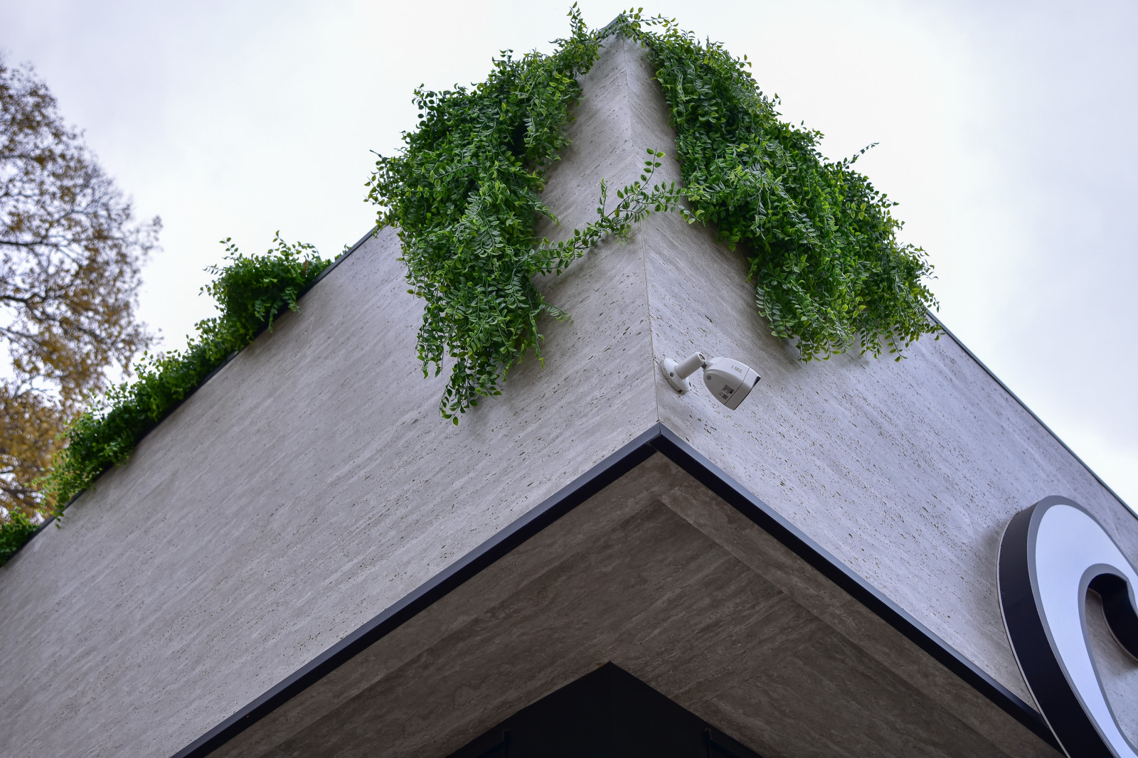 Обложка проекта: Ресторан Сказка г. Уссурийск