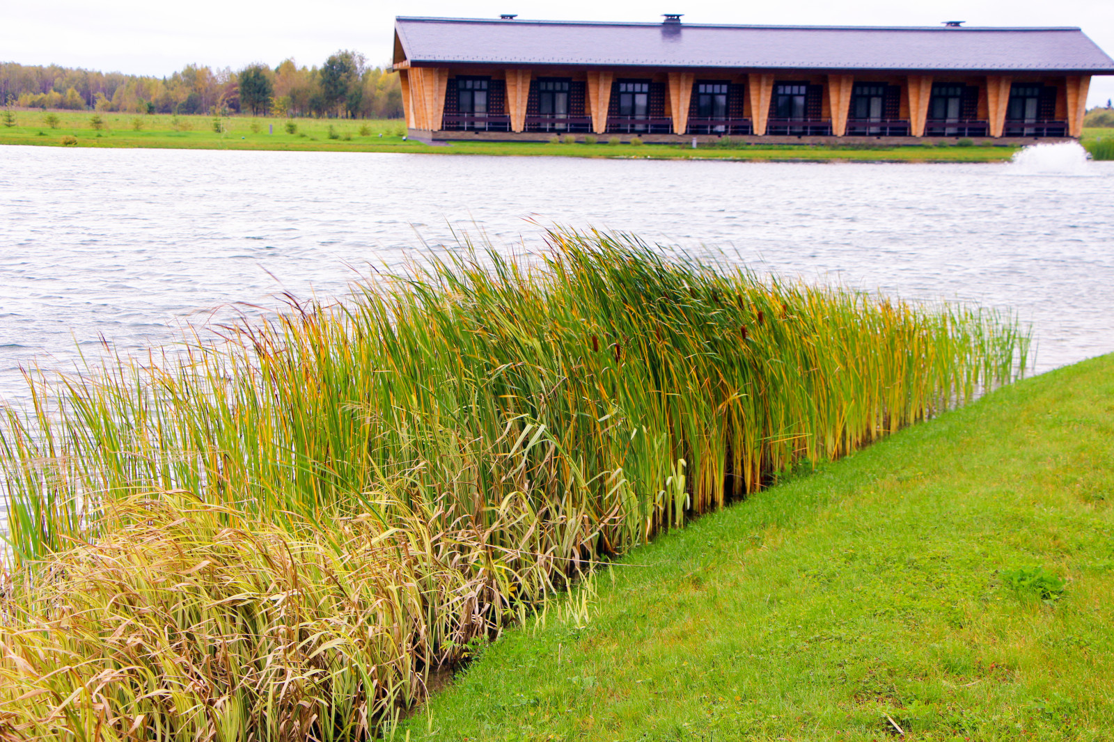 Харламово, 2010-2012 гг.