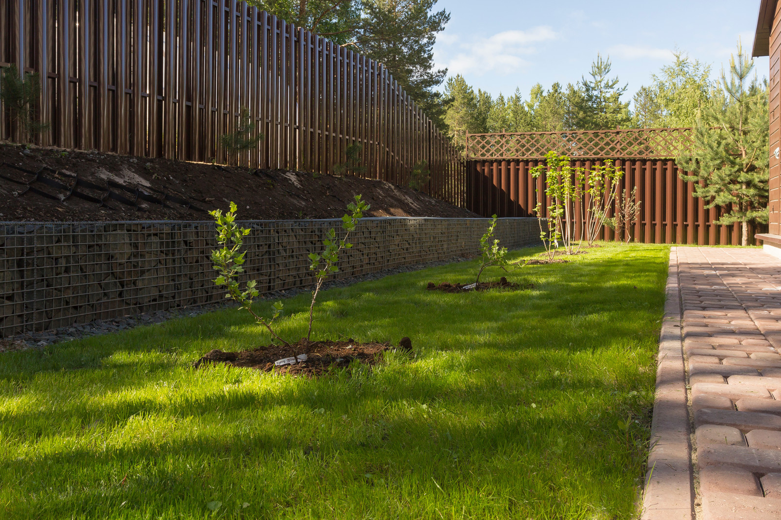 Ландшафт участка загородного дома в Сосновом бору