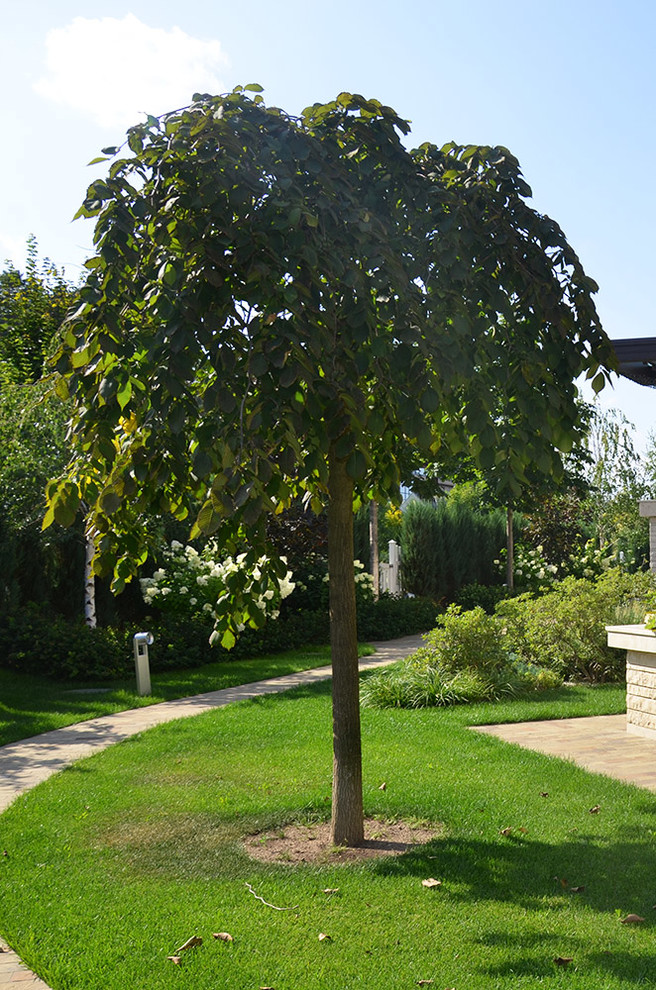 Современный сад в КП "Бенелюкс" вилла 1