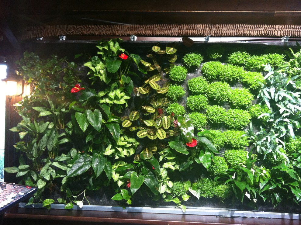 Вертикальные сады