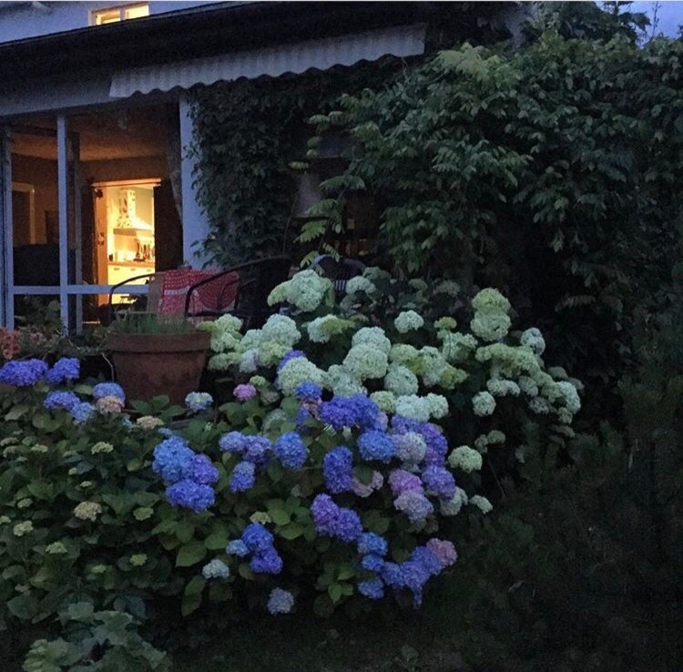 В гостях: Дом дизайнера и 4 сотки сада в Калининграде