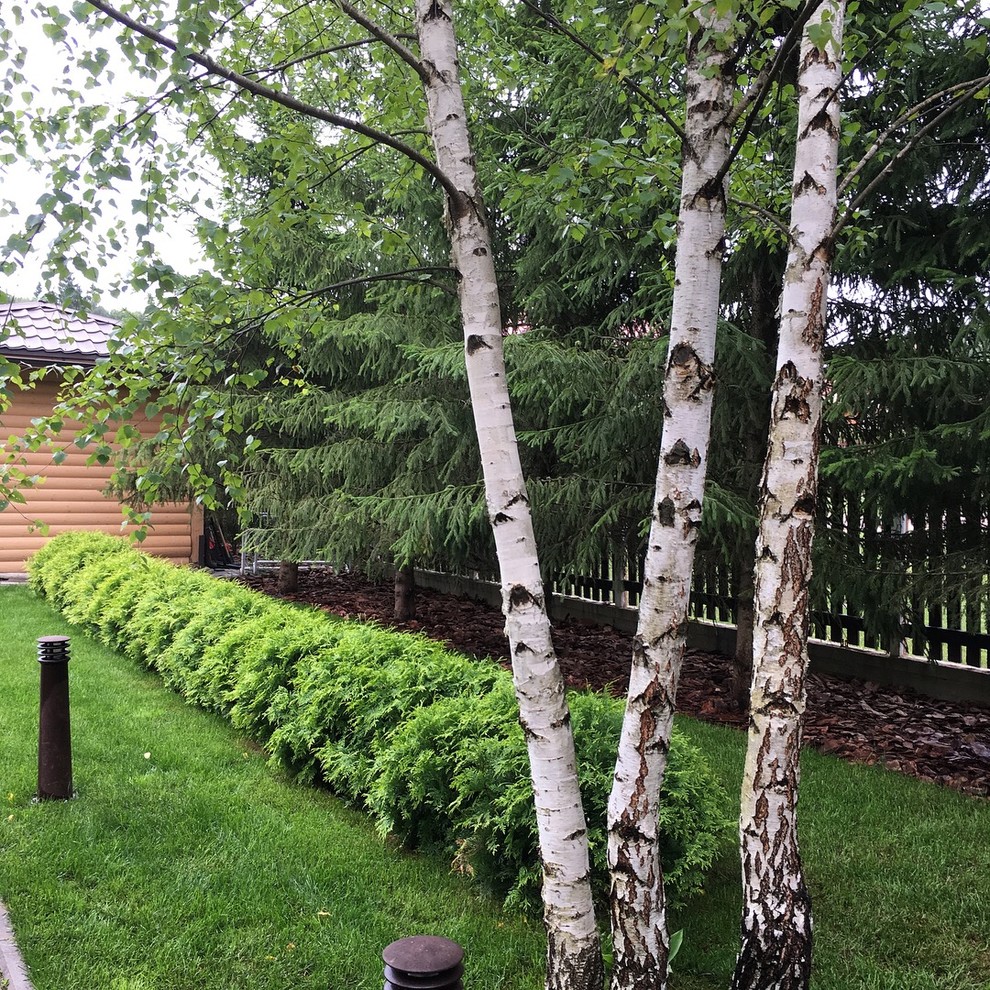 Сад на Новой Риге