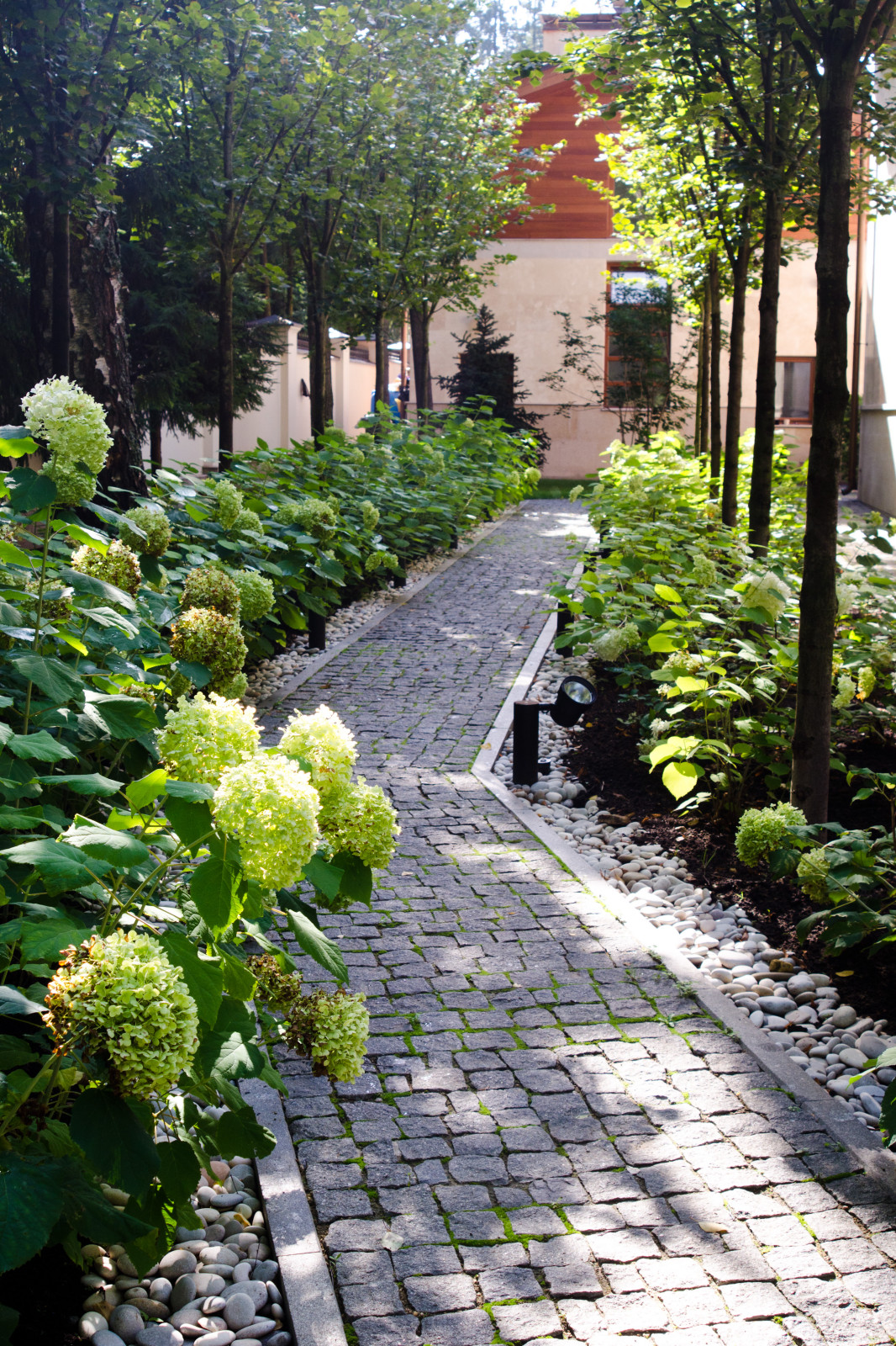 Глянцевый лес