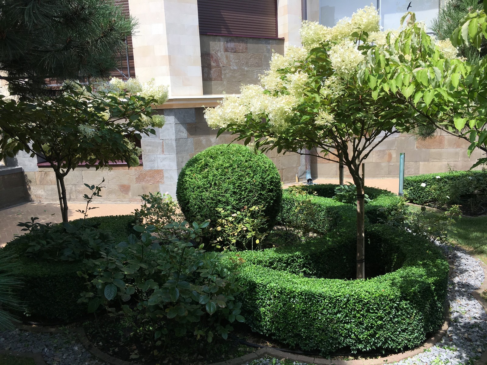 Итальянский сад с пиньями в городе