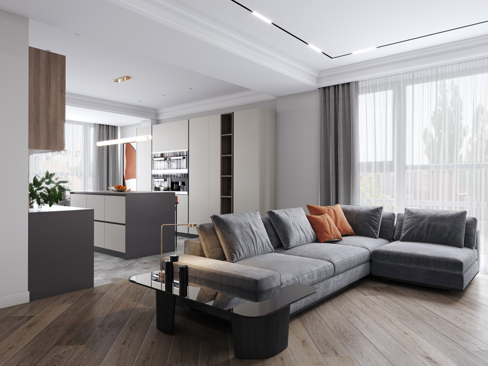 Кухня-гостиная