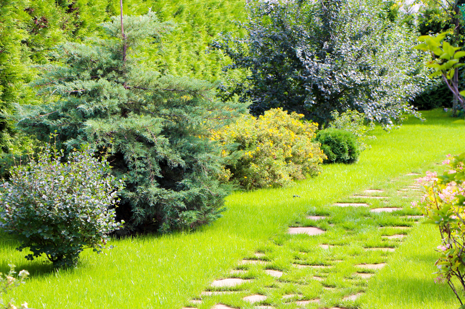 Королев, 2013-2016 гг.