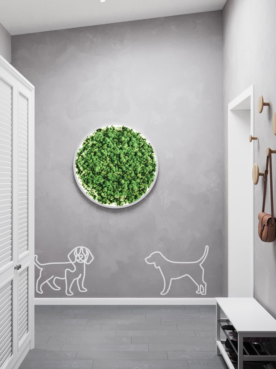 Обложка проекта: Дом для биглей