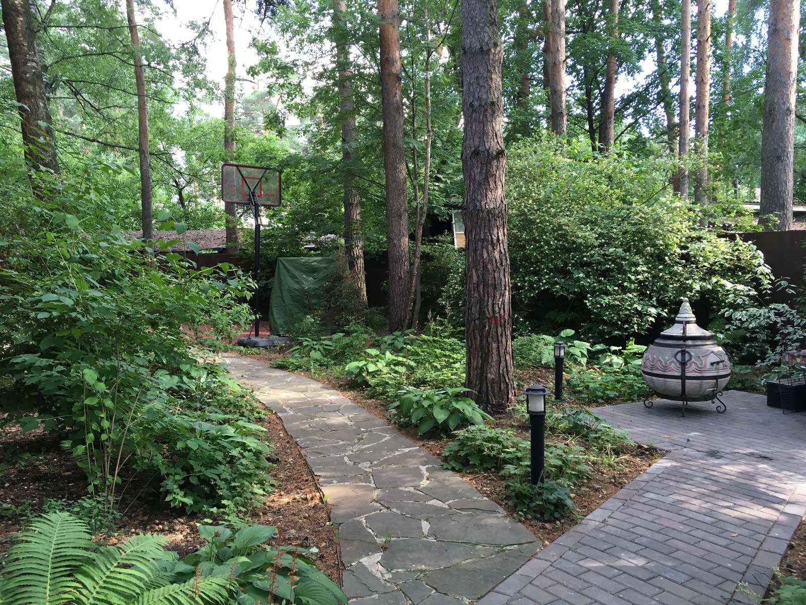 Белкин сад. Лето 2019