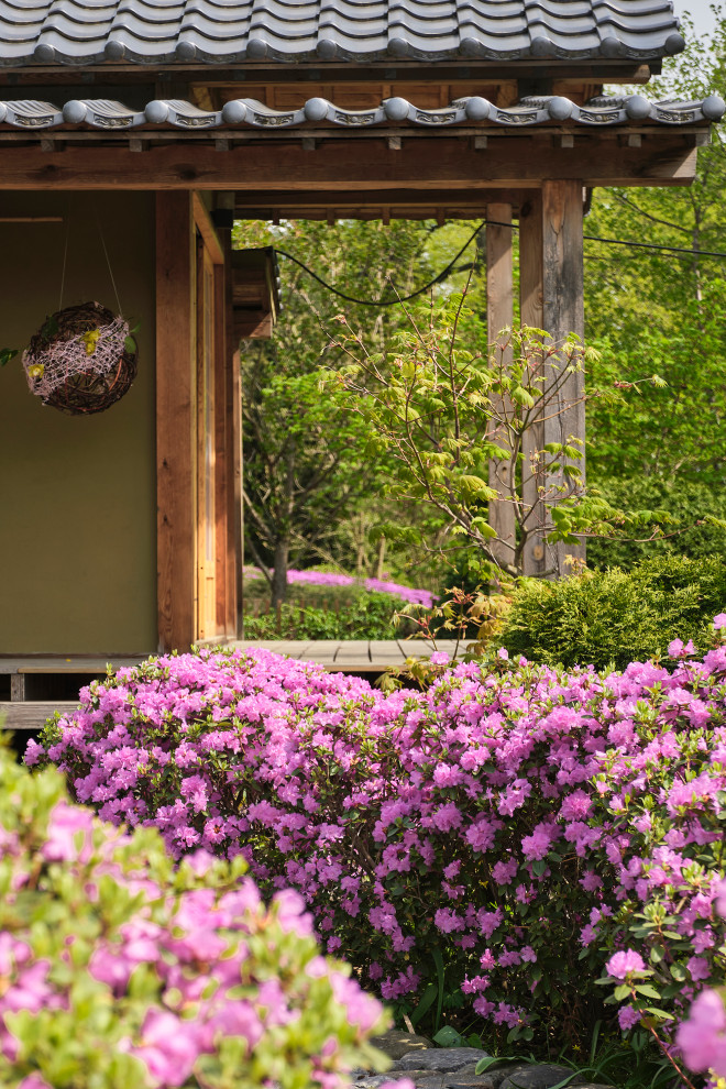 Японский сад в Ботаническом саду БИН РАН, СПб, Петроградка