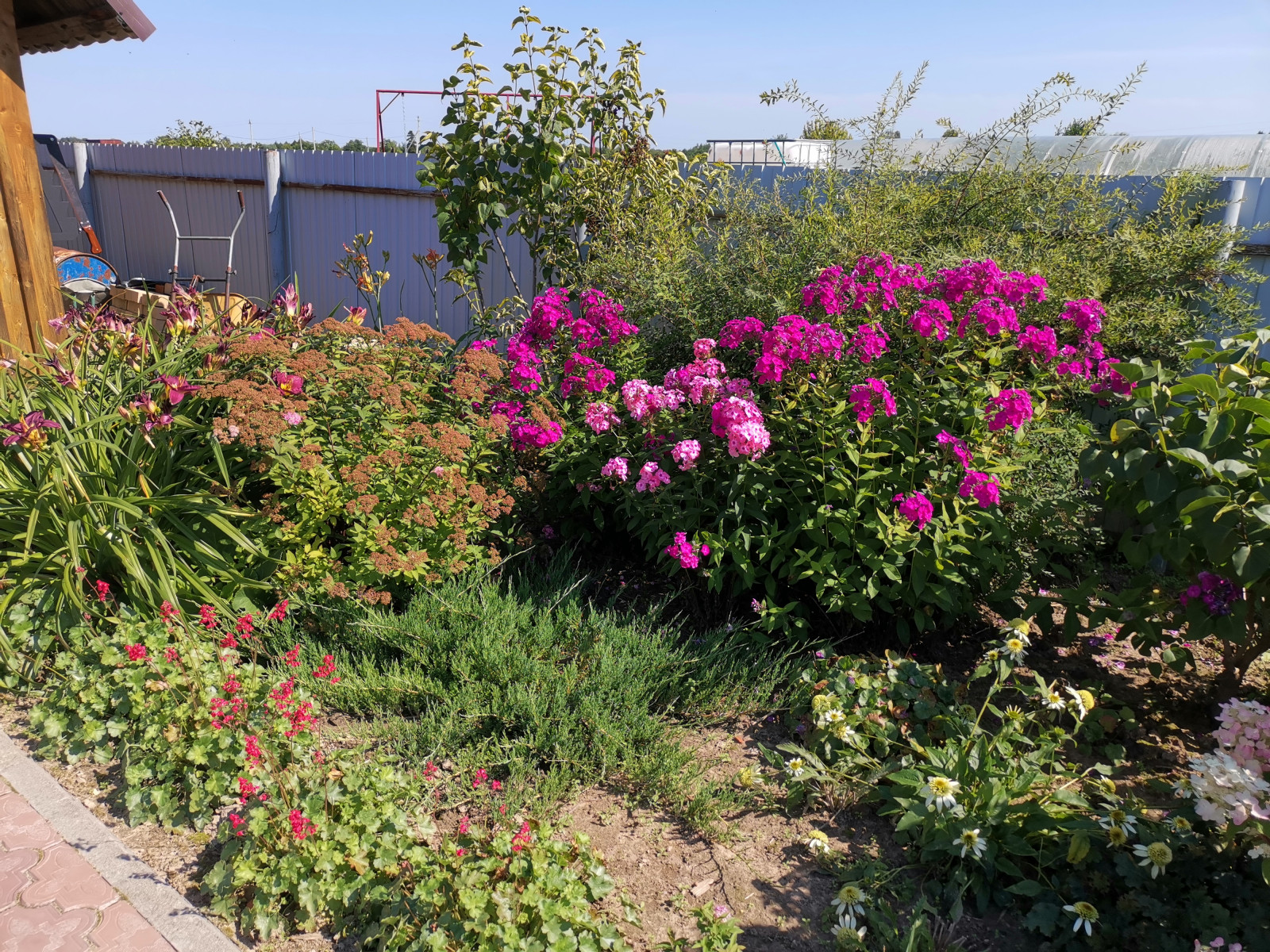 Кокшайск. Пергола – качель, шпалерный забор и обновление участка.