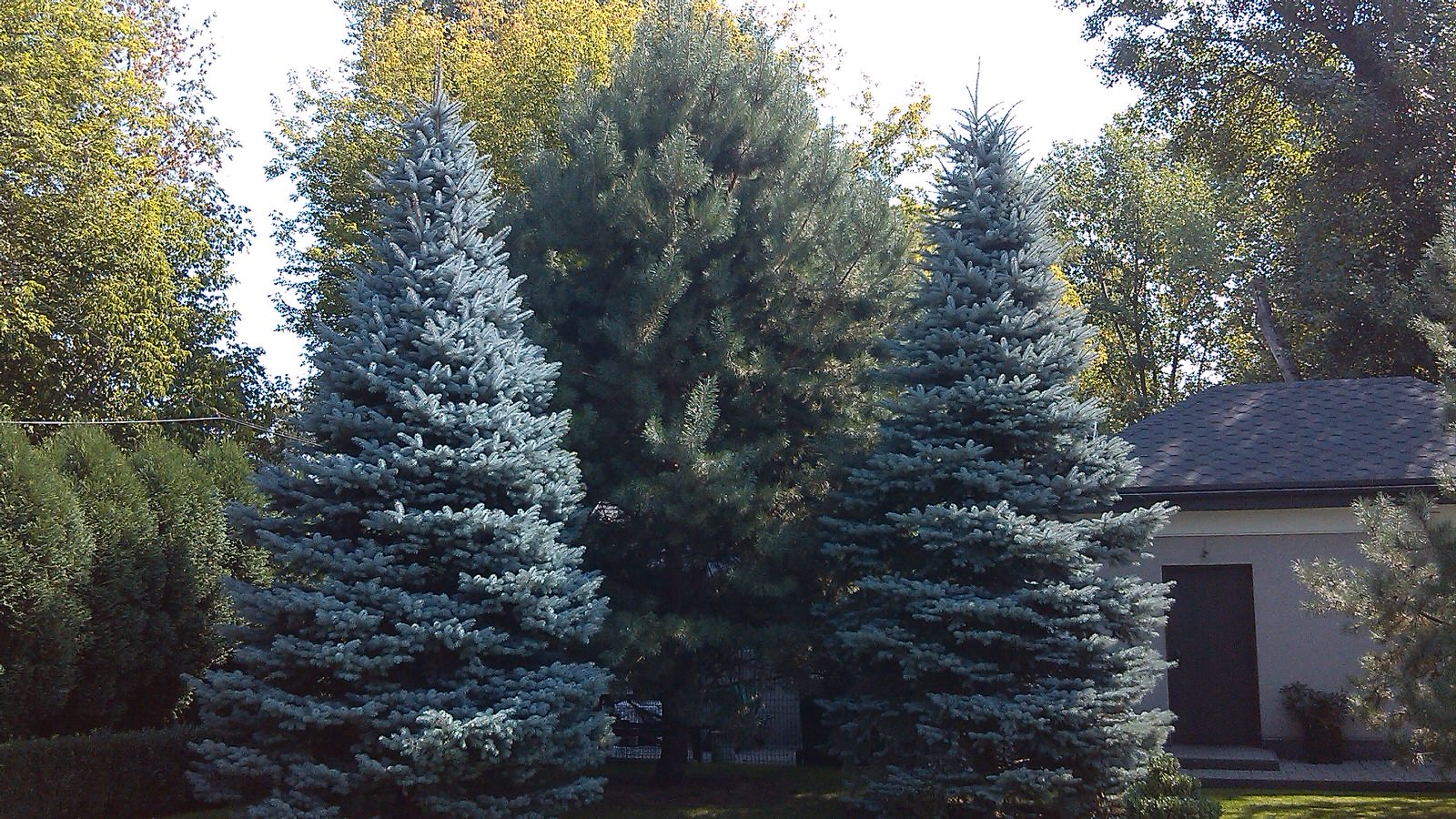 Строгость мужского ландшафта