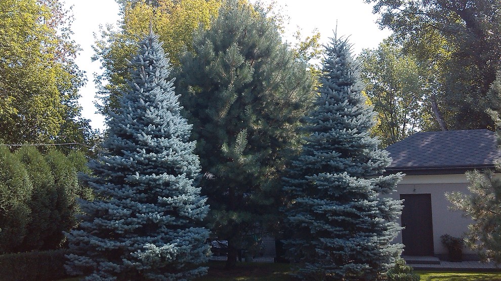Строгость мужского ландшафта